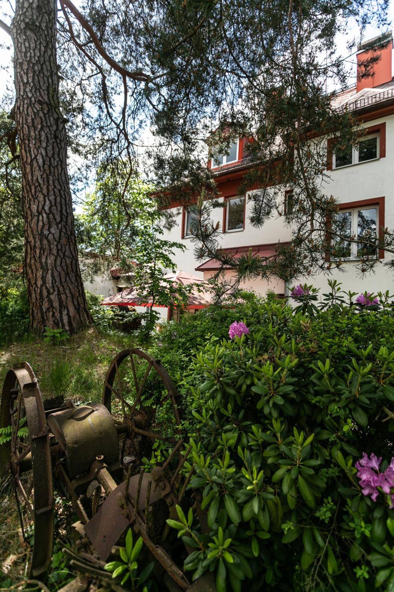 יאסימוב Hotel Panorama מראה חיצוני תמונה