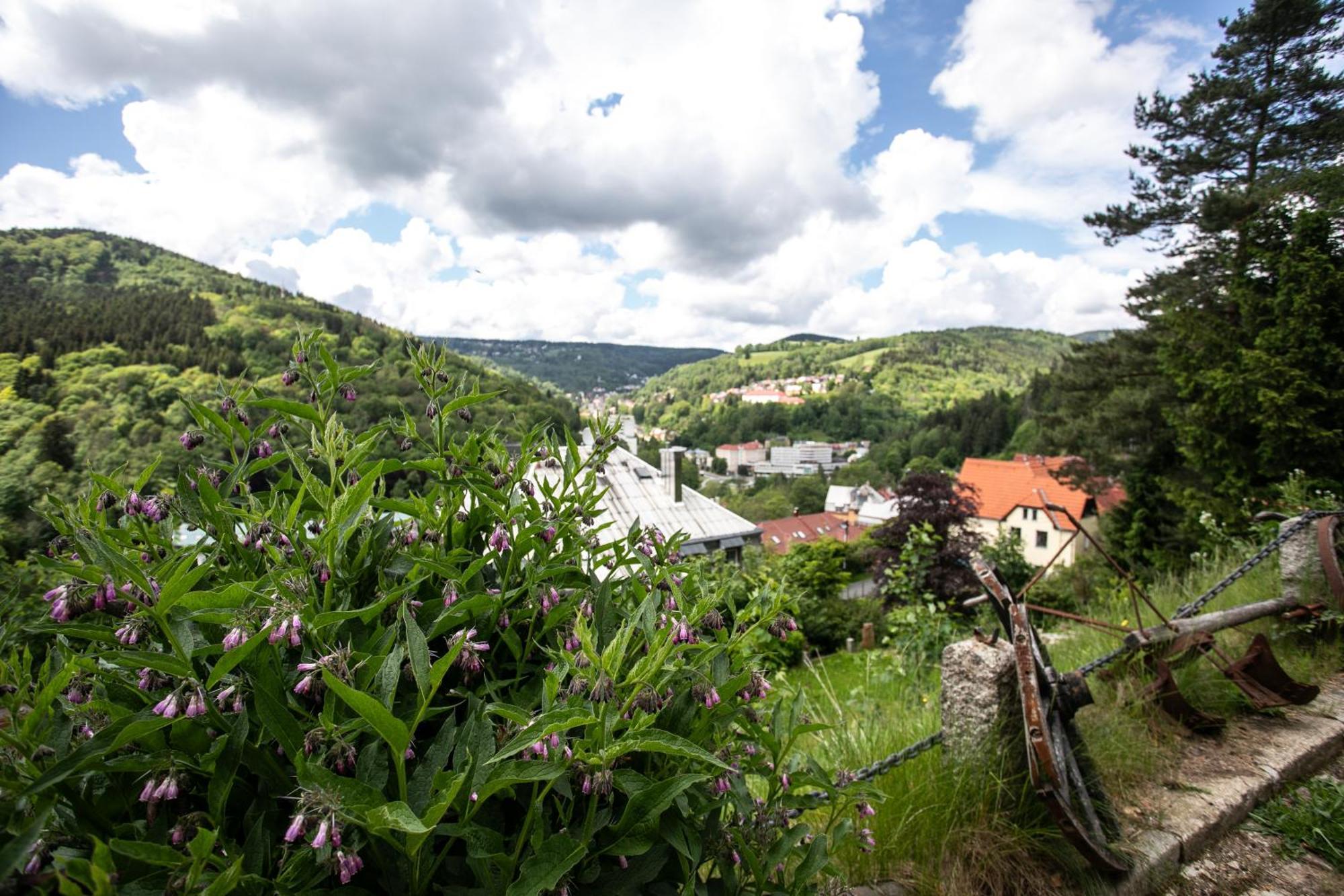 יאסימוב Hotel Panorama מראה חיצוני תמונה